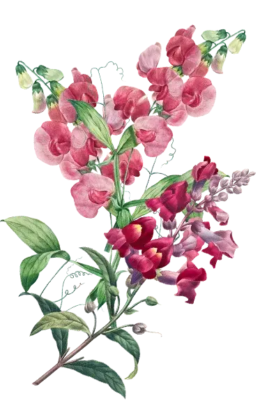 Flower Left