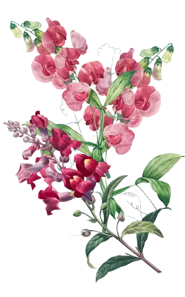 Flower Right