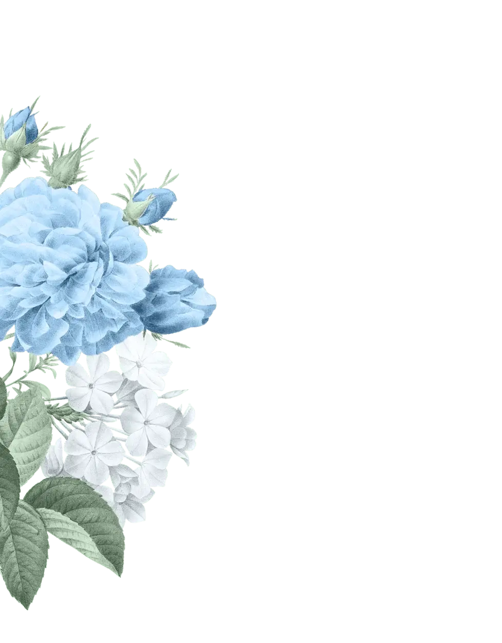 Flower Left Edge